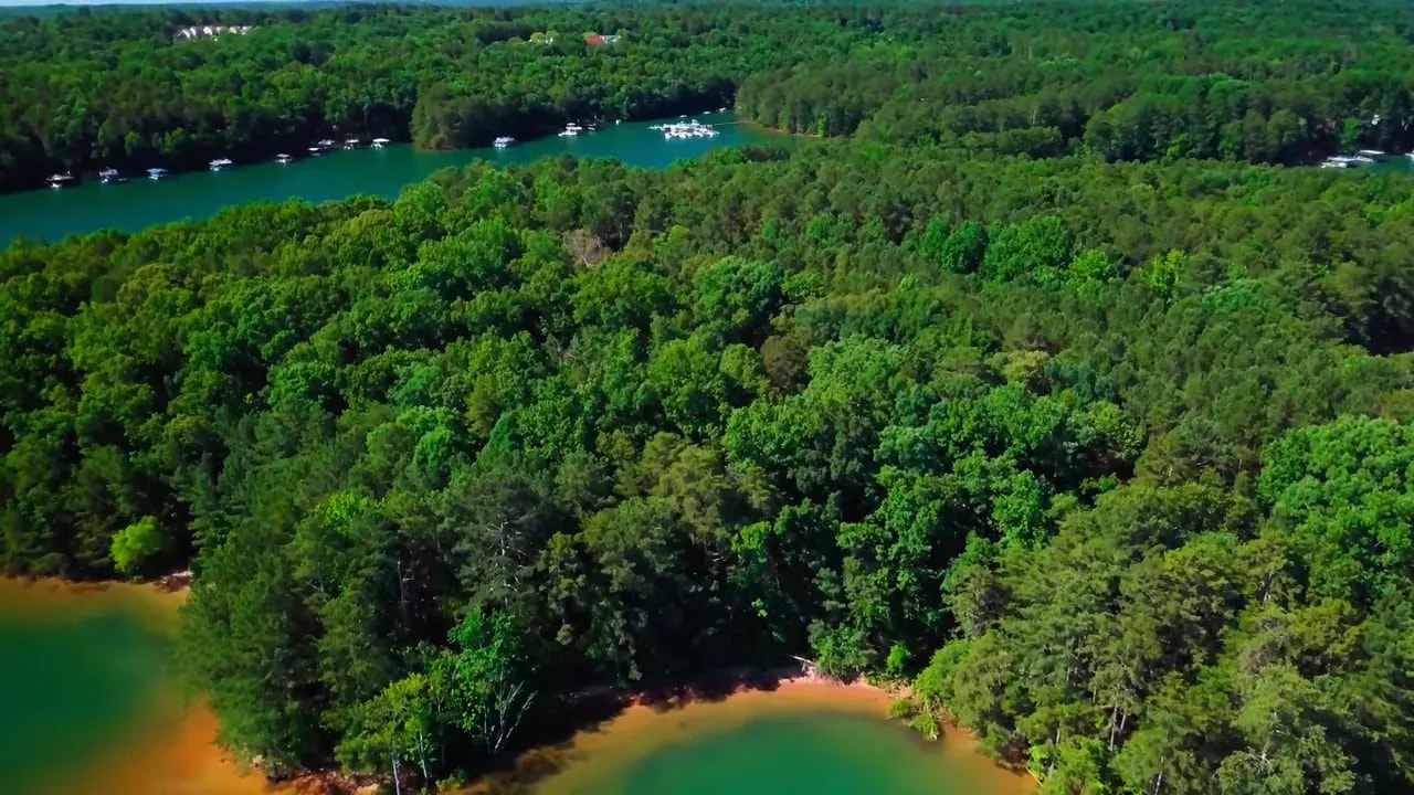 Boat on Lake Lanier near a wooded shoreline and busy beach